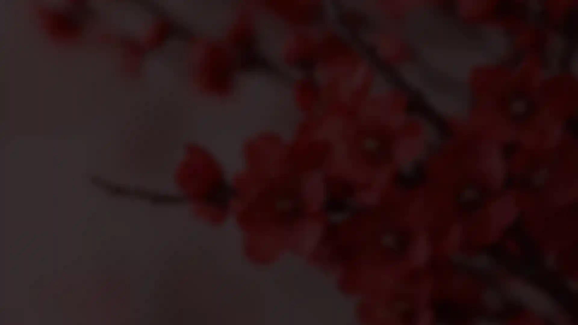 LIFESTYLE background